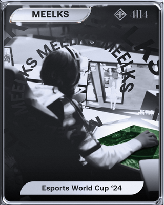 Player Image